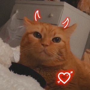 Meet your Posher, Nat